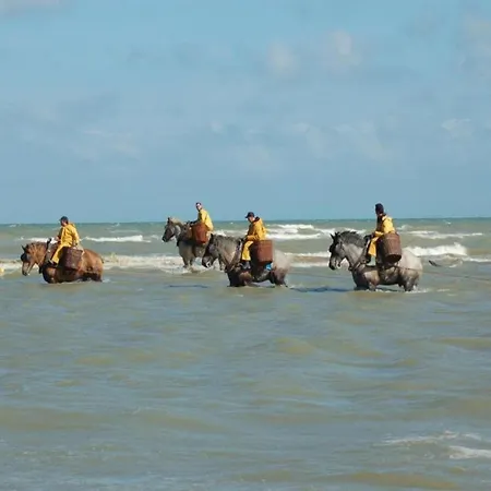 By St-andre Dunes With Sea View, Cleaning Included * Koksijde
