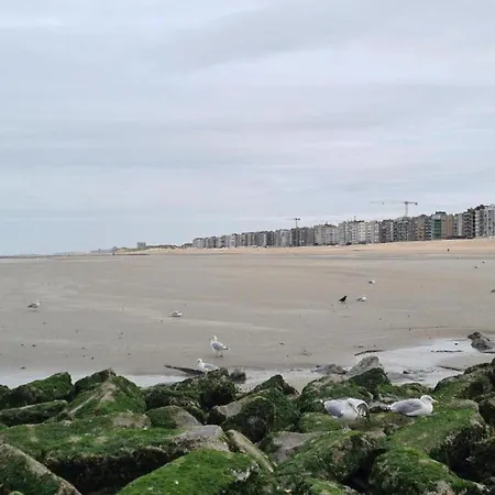 By St-andre Dunes With Sea View, Cleaning Included * Koksijde