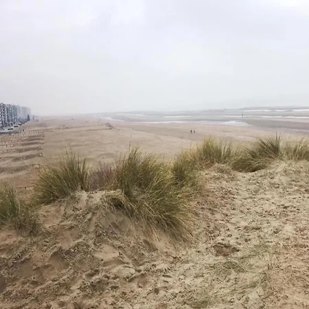 By St-andre Dunes With Sea View, Cleaning Included