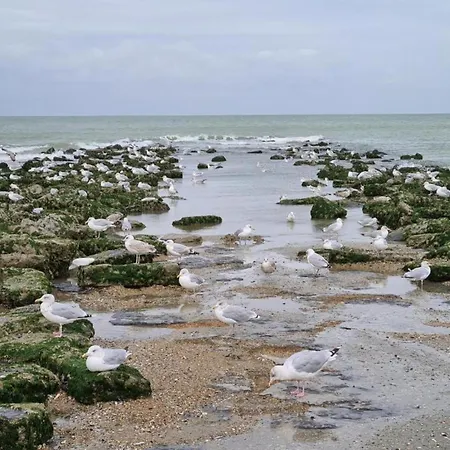 By St-andre Dunes With Sea View, Cleaning Included Apartmán